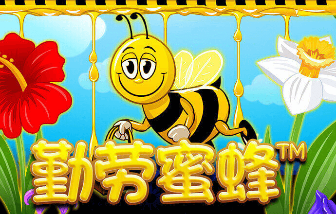 6t体育官网app截图1