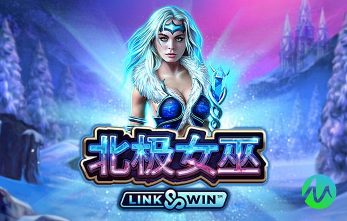 新澳门王中王资料公开